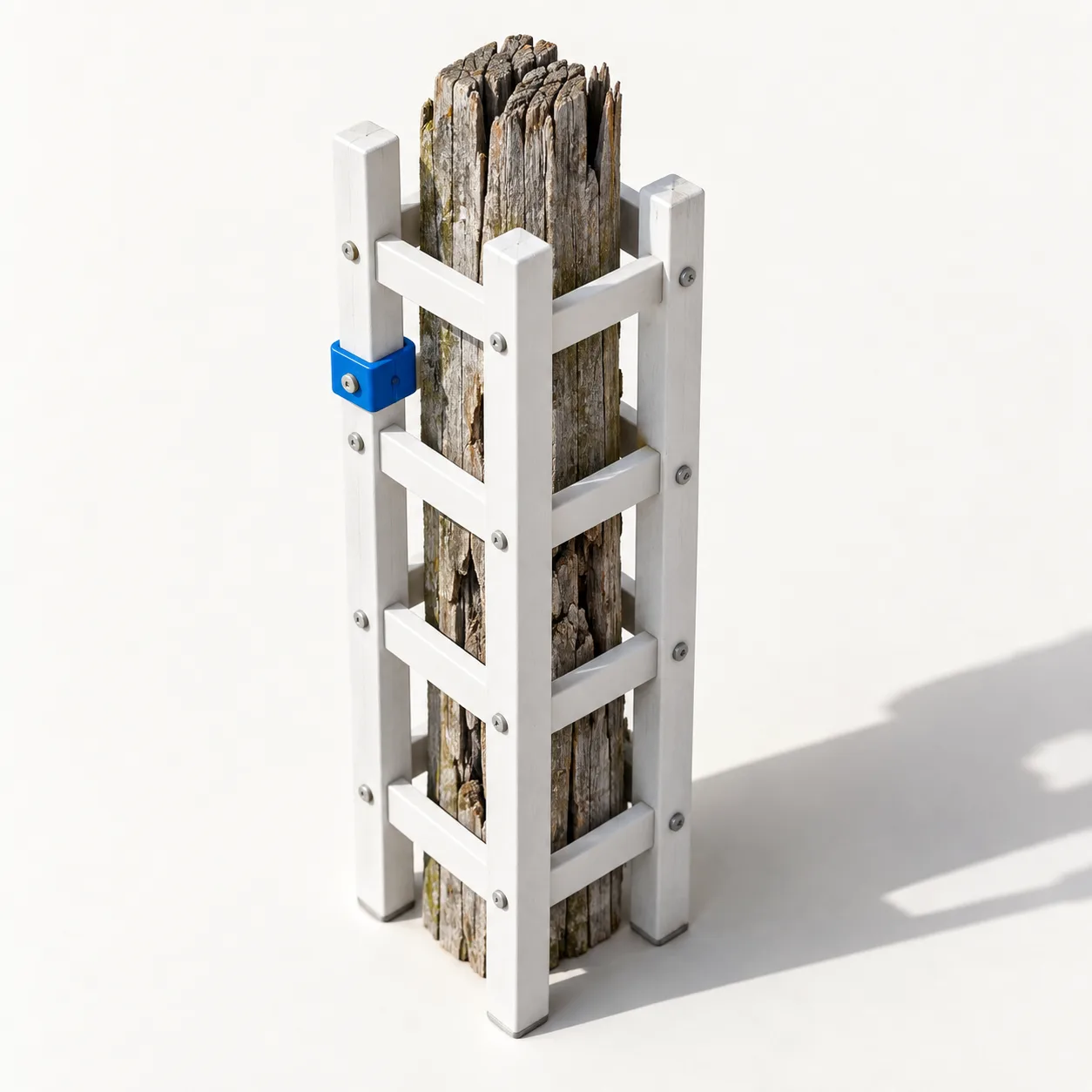 Ein alter, verwitterter Holzpfosten, um den ein neues weißes Lattengerüst gebaut ist; eine der Verbindungsschellen ist blau.